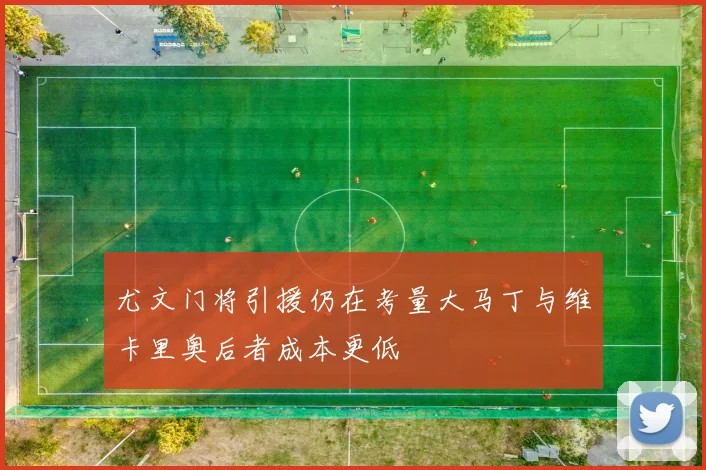 尤文门将引援仍在考量大马丁与维卡里奥后者成本更低